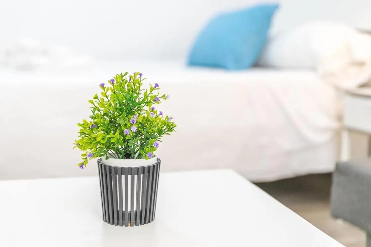 Apartamento Don Guido A Barbate Apartment